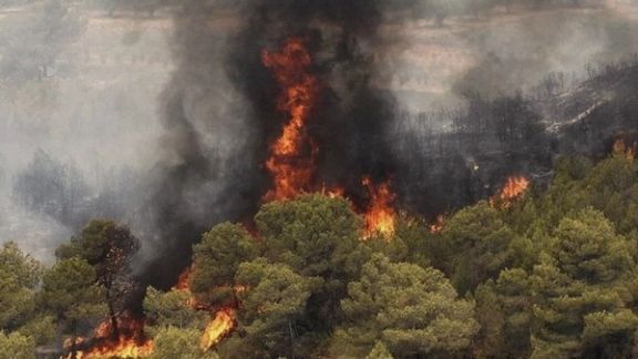 Wildfires Ravage Iran’s Hyrcanian Forests For Fifth Consecutive Day