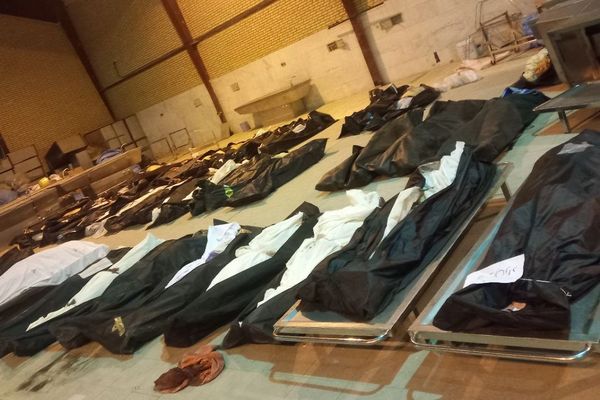 Canadian activists urge probe into Iranian expats linked to repression