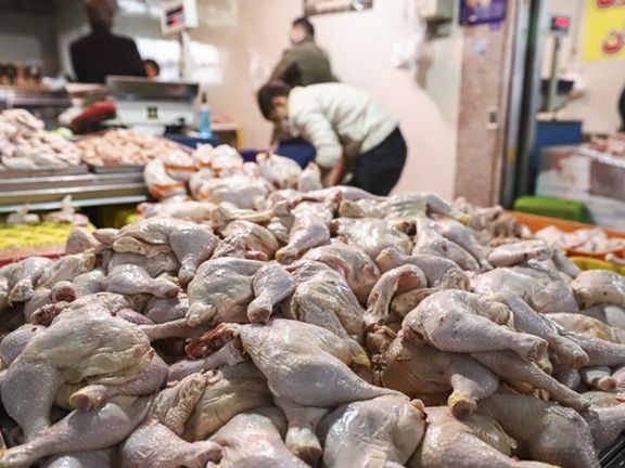 عضو اتاق بازرگانی تهران: با ارز ۴۲۰۰ تومانی، مرغ باید ۱۲ هزار تومان به مردم فروخته شود