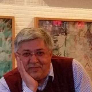 Behrouz Turani