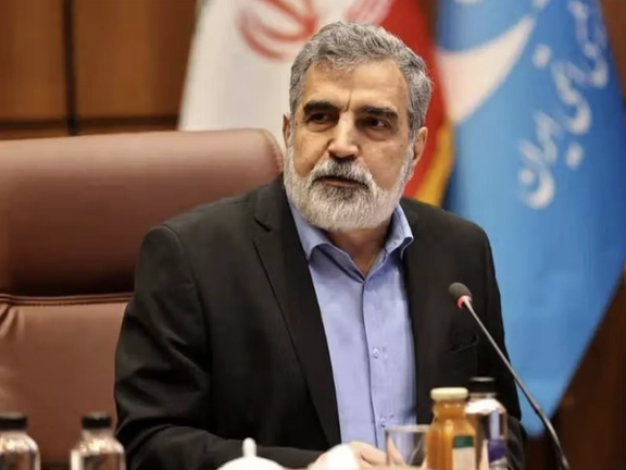 سازمان انرژی اتمی اعلام کرد هیچ دارایی یا حساب متعلق به این سازمان در ترکیه مسدود نشده است