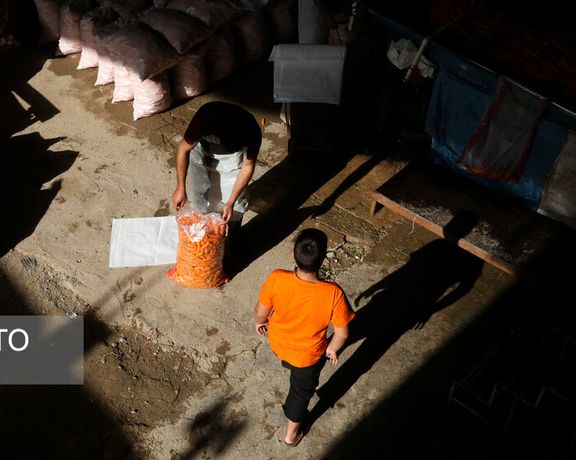 خبرگزاری ایسنا: به دلیل گرانی، مردم به جمع کردن هویجهای شکسته کنار رودخانه روی آوردهاند