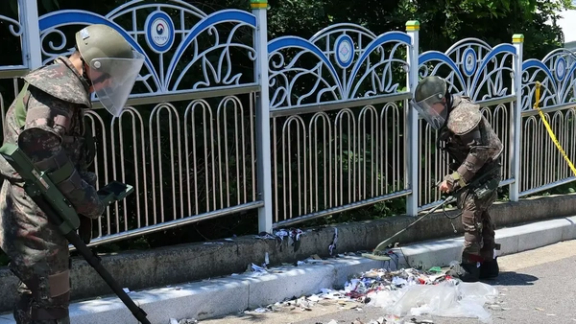 بالن زباله فرستادهشده از کره شمالی در محوطه کاخ ریاستجمهوری کره جنوبی سقوط کرد