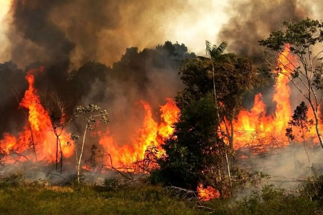 السلطات الإيرانية: اندلاع حريق غابات "إليت" بفعل "عامل بشري" 