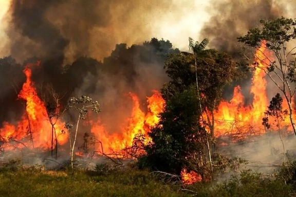 إيران تشتبه في "فعل بشري" وراء حريق غابات "إليت" وتحقق في صلات محتملة بمشاريع عقارية