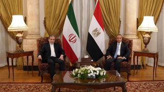 Top Iran envoy's Cairo visit may signal thaw to long frozen ties