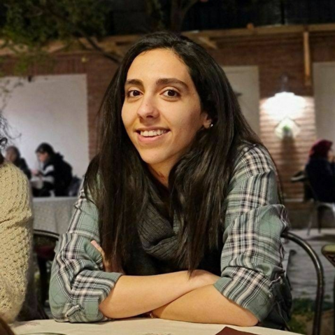 گزارشگر ویژه سازمان ملل خواستار لغو حکم زندان هستی امیری شد