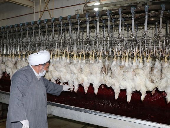 در لایحه بودجه سال ۱۴۰۴، تعرفه نظارت شرعی بر کشتار مرغ و خروس ۲۰۰ درصد، نظارت بر کشتار گوسفند ۴۶۰ درصد و نظارت بر کشتار گاو و گوساله ۷۰ درصد افزایش یافته است.