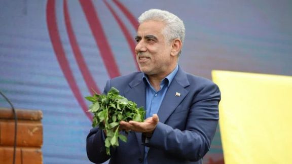 استاندار گیلان: مردم حق دارند از چای ارگانیک ایرانی لذت ببرند