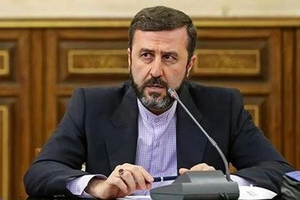 غریبآبادی در مجلس: دولت به قانون تعلیق همکاری با آژانس پایبند است