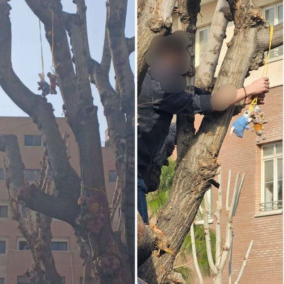 Khamenei ‘rat’ taunt spills from social media onto Iran’s campuses