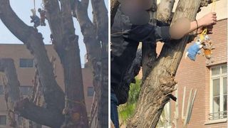 Khamenei ‘rat’ taunt spills from social media onto Iran’s campuses