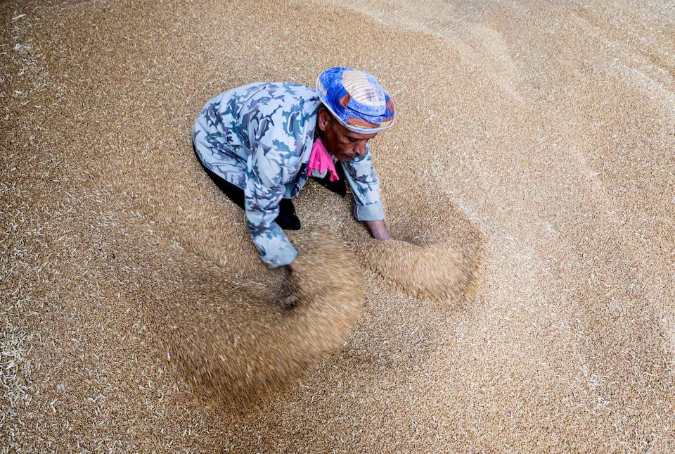 رویترز: مصر در پی بحران‌های منطقه‌ای و افزایش قیمت‌ها، دستور خرید گسترده گندم را صادر کرد