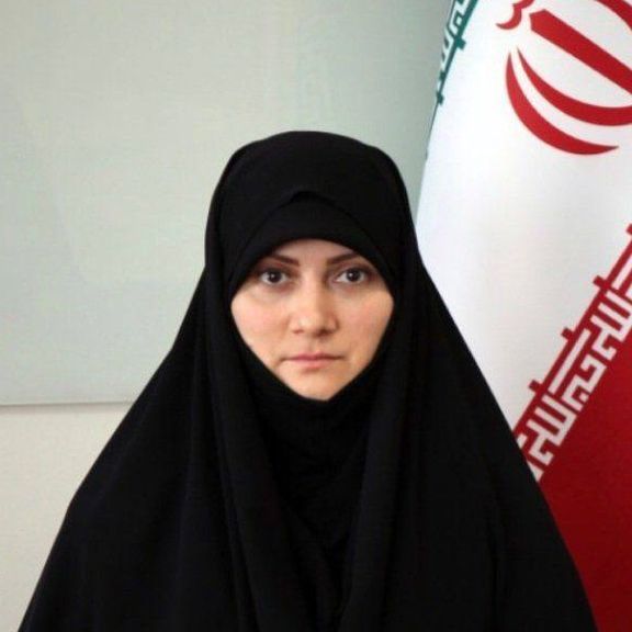 مدیر کل بازرسی وزارت تعاون: معترضان در سال گذشته بیمادری خود را فریاد زدند