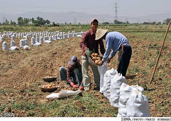 Turkmenistan, Uzbekistan Reject Iranian Produce Over Pesticide 