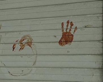 36 ألفًا و500 قتيل في إيران خلال يومين.. فماذا يعني هذا الرقم؟