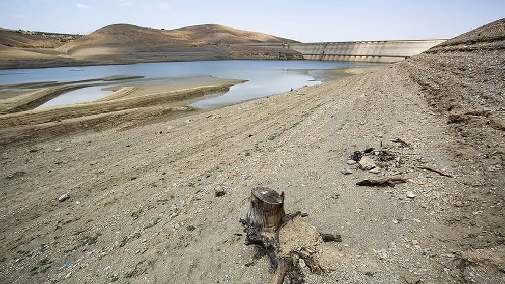 مدیرعامل شرکت آب منطقه‌ای تهران: تنها ۱۴ درصد ظرفیت سد کرج آب دارد