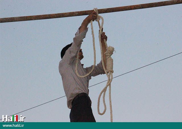 سازمان حقوق بشر ایران: جمهوری اسلامی در یک سال اخیر ۶۹۷ نفر را به قصد هراس‌افکنی اعدام کرد