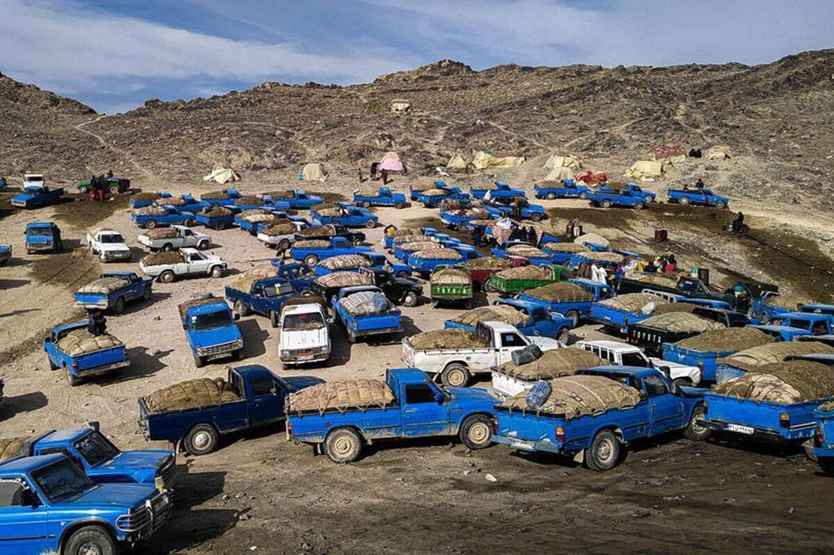 در کمتر از ۹ ماه دست‌کم ۶۶ سوخت‌بر در تصادفات جاده‌ای جان باختند