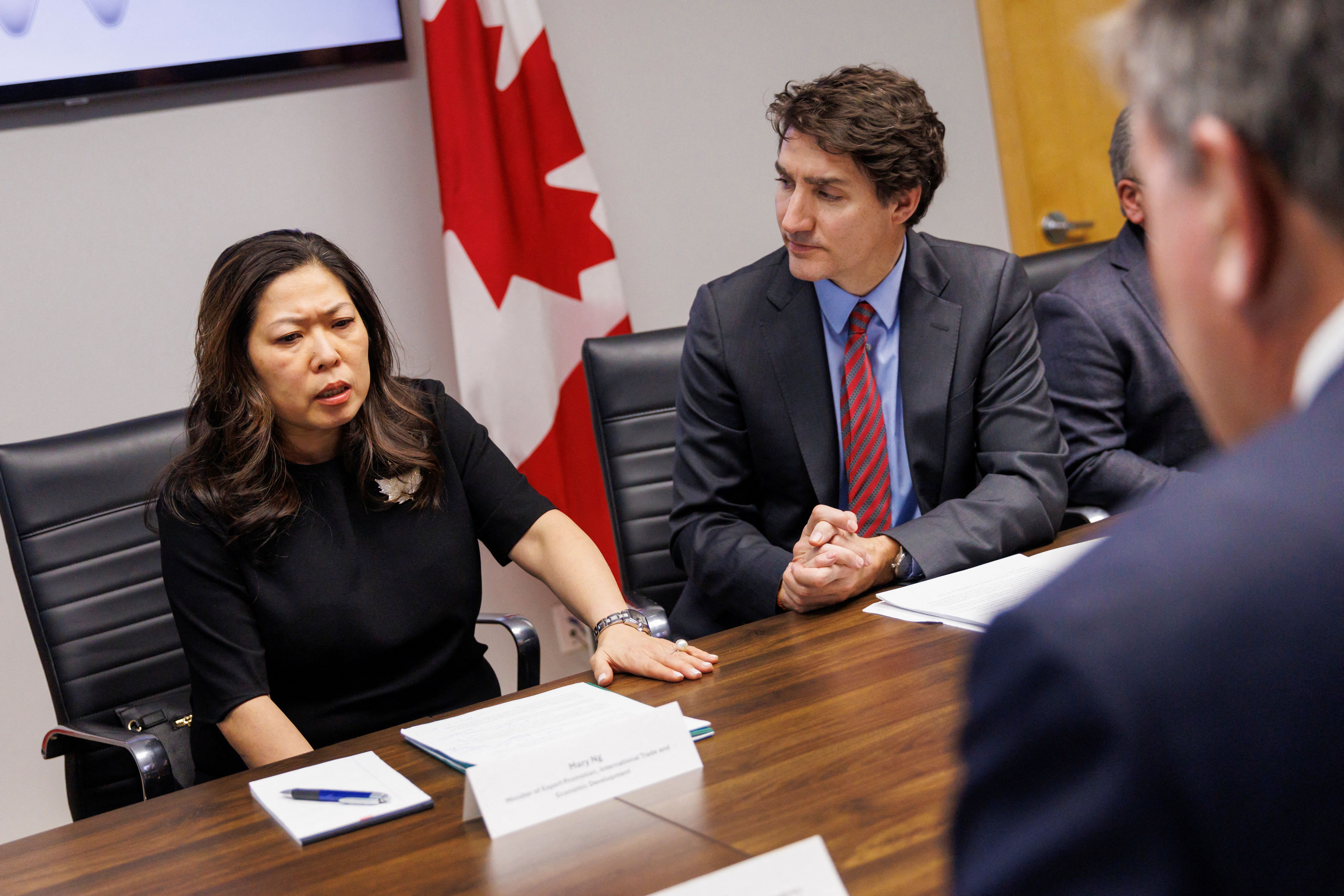 مری نِگ، وزیر تجارت کانادا