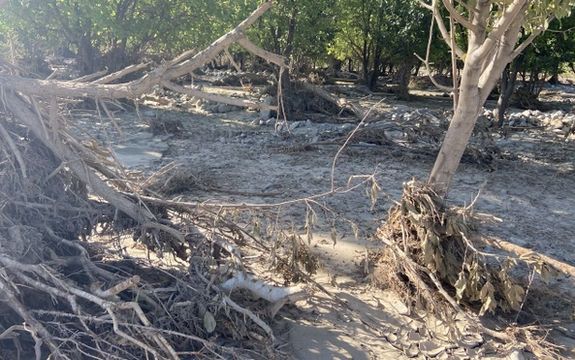 فرماندار بافت: سیل اخیر در ۵۰ سال گذشته بیسابقه بود و ۵ کشته داشت