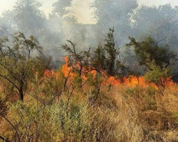 در آتشسوزی کوه شبلیز شهرستان دنا تاکنون ۵۰ هکتار از مراتع و جنگلها سوخته است