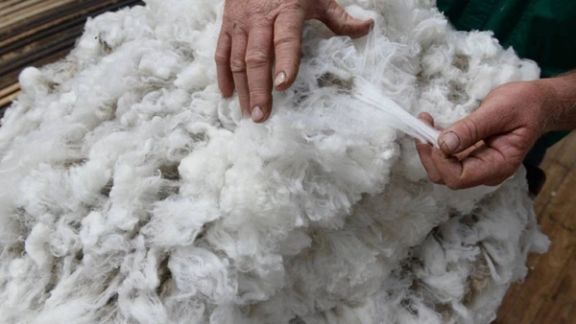 گزارش وبسایت «نود اقتصادی» از آمار گمرک: ایران در پنج ماه ۱۰۰۰ تن پشم وارد کرده است