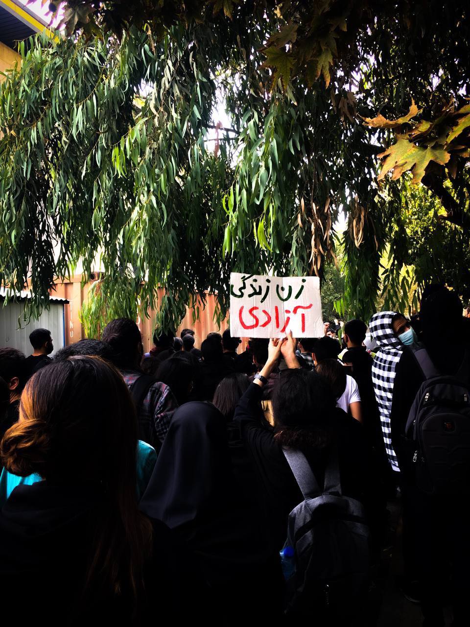 انطلاق الاحتجاجات الطلابية.. والنظام يدفن أحد الصحافيين سرا.. وأنجلينا جولي تدعم الانتفاضة