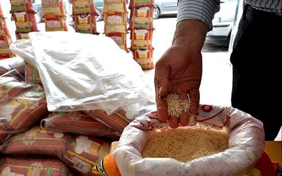 وزارت جهاد کشاورزی: قیمت برنج را ظرف یک هفته بر میگردانیم