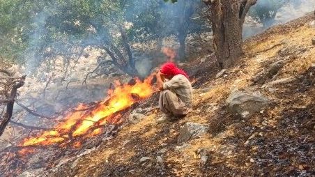 اداره منابع طبیعی از ادامه آتشسوزی جنگلهای کوه شره کهگیلویه پس از سه روز خبر داد