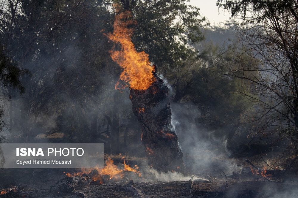 تركيا ترسل طائرات إلى إيران للمساعدة في إخماد حريق غابات "إلِیت" 