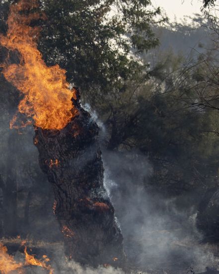 تركيا ترسل طائرات إلى إيران للمساعدة في إخماد حريق غابات "إلِیت"