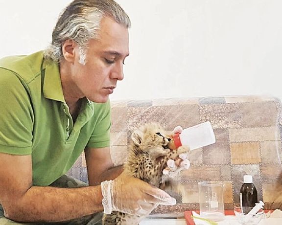 مراقب تولهیوز ایرانی: پیروز سهبار تا پای مرگ پیش رفت