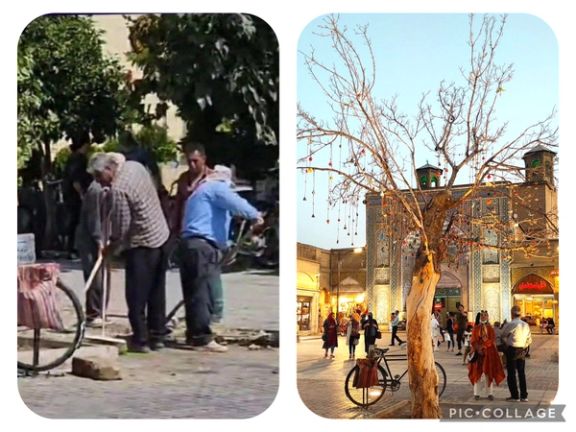 درخت مشهور به «درخت آرزوها» در بازار شیراز به دلیل عکاسی مردم در کنار آن، قطع شد