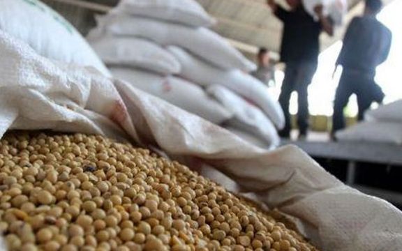 نماینده جیرفت: با اختصاص ارز ترجیحی ۱۵۰ هزار تن نهاده دامی در بنادر کپک زد و از بین رفت