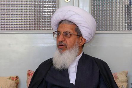 رییس موسسه آموزش عالی اجتهاد: باید ابعاد فقهی رحم اجارهای بررسی شود