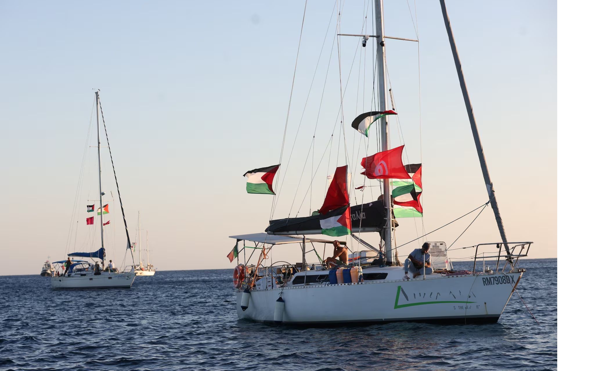 Iranian activist among Gaza flotilla participants detained by Israel 