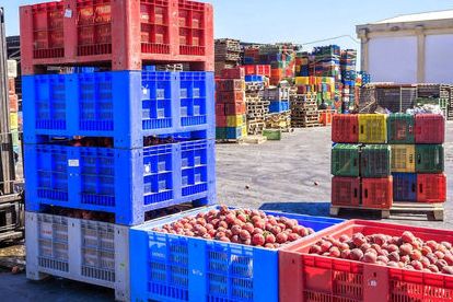 اتحادیه محصولات کشاورزی: روسیه واردات فلفل و برخی محصولات کشاورزی از ایران را ممنوع کرده