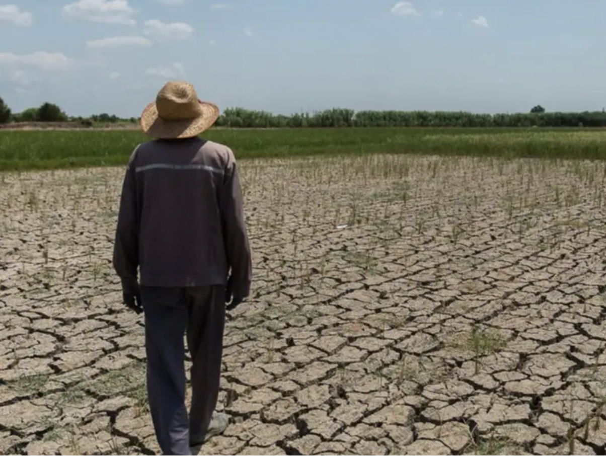 مخاوف من أزمة مائية في إيران.. والموارد لا تكفي أكثر من 50 مليونًا