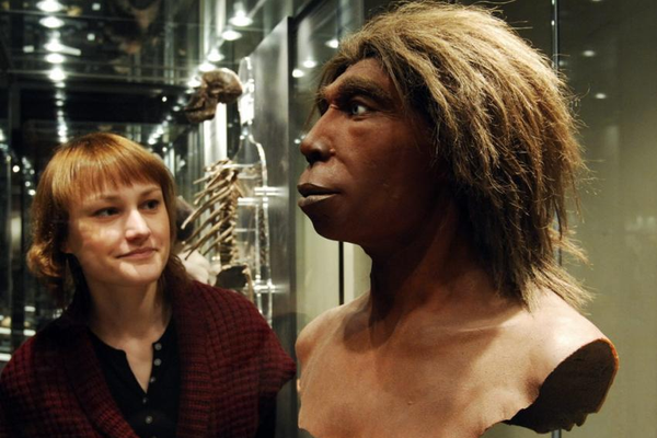 آیا تفاوت چهره انسان امروزی و نئاندرتالها نتیجه اصل بقا است؟