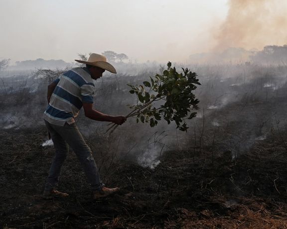 رییسجمهوری برزیل برخلاف تعهدش در نشست اقلیمی، بودجه وزارت محیطزیست این کشور را کم کرد