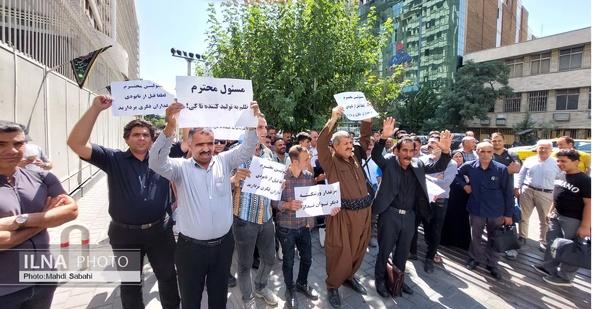 مربو دواجن إيرانيون يتظاهرون أمام وزارة الزراعة لعدم تسليمهم مستلزمات إنتاج دفعوا ثمنها