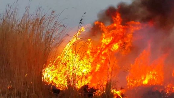 آتشسوزی در هورالعظیم با گذشت چندین ساعت ادامه دارد