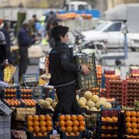 Broken machine: why Tehran’s food distribution plan won’t move the needle