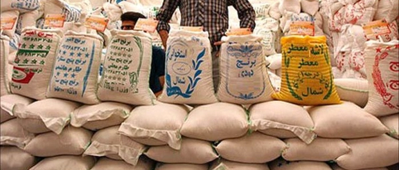 عضو انجمن برنج ایران: ۵۰ درصد از برنجهای تولید سال گذشته در انبار مانده