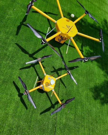 آذری جهرمی: «هادی» و «هدی» در پست کیش به عنوان پستچی خدمت خواهند کرد