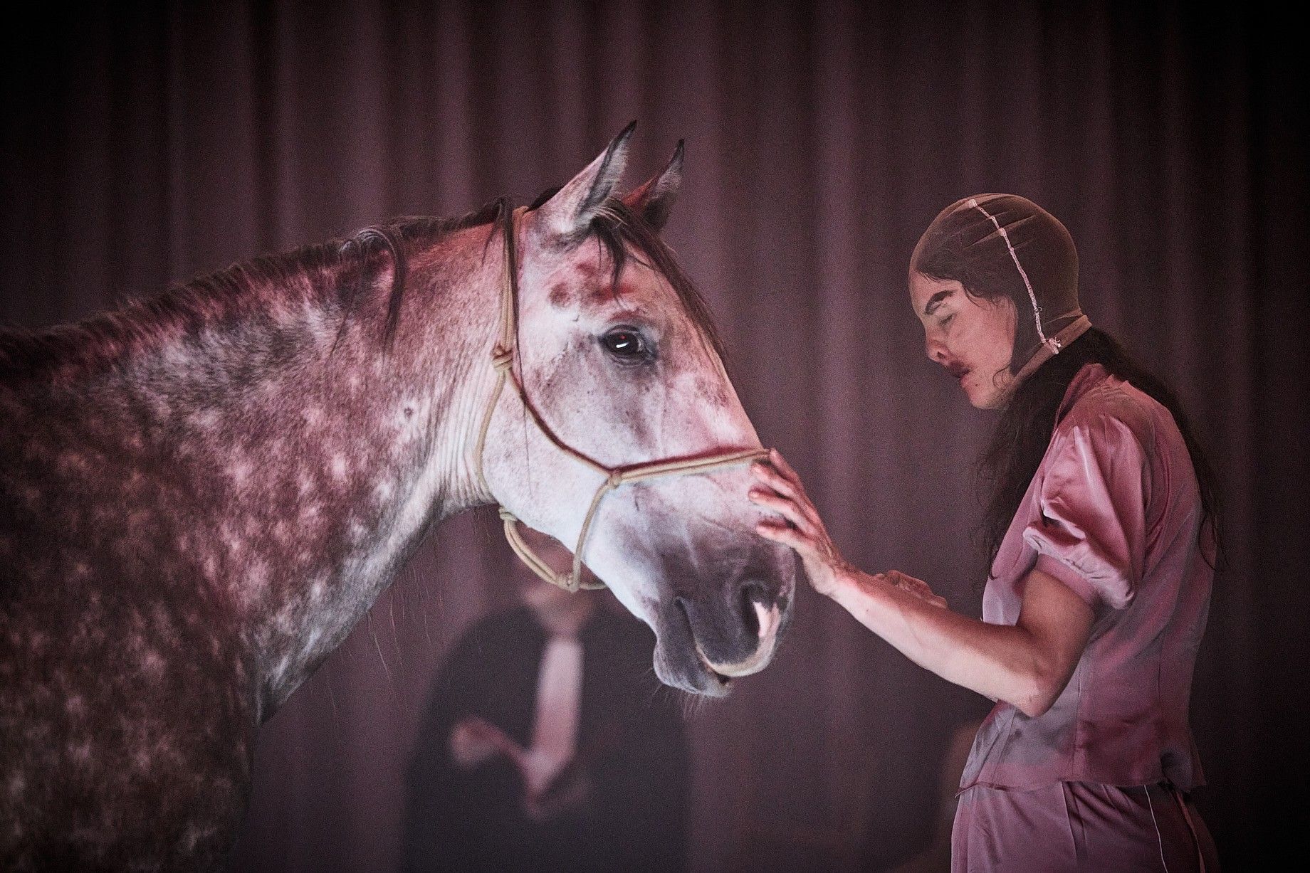 تصویر: : Festival d'Avignon