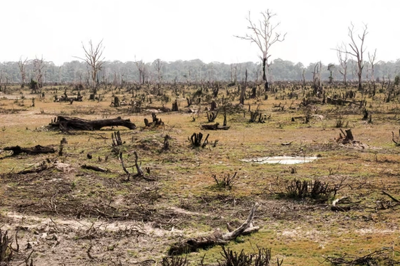 معاون وزارت جهاد کشاورزی: سطح حاصلخیزی و ماده آلی خاک کشاورزی ایران پایین است