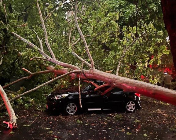 سازمان اورژانس: در طوفان تهران یک زن ۶۰ ساله و یک پسر ۱۵ ساله جان باختند