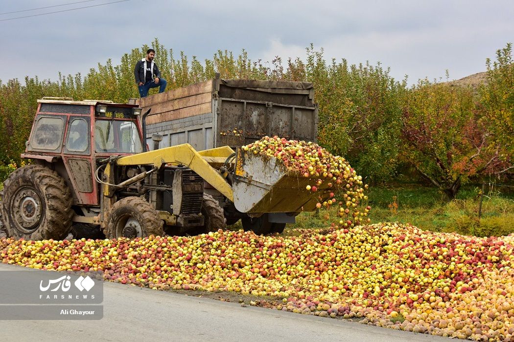 Excess apple production which has contributed to the gradual disappearance of lake Urmia